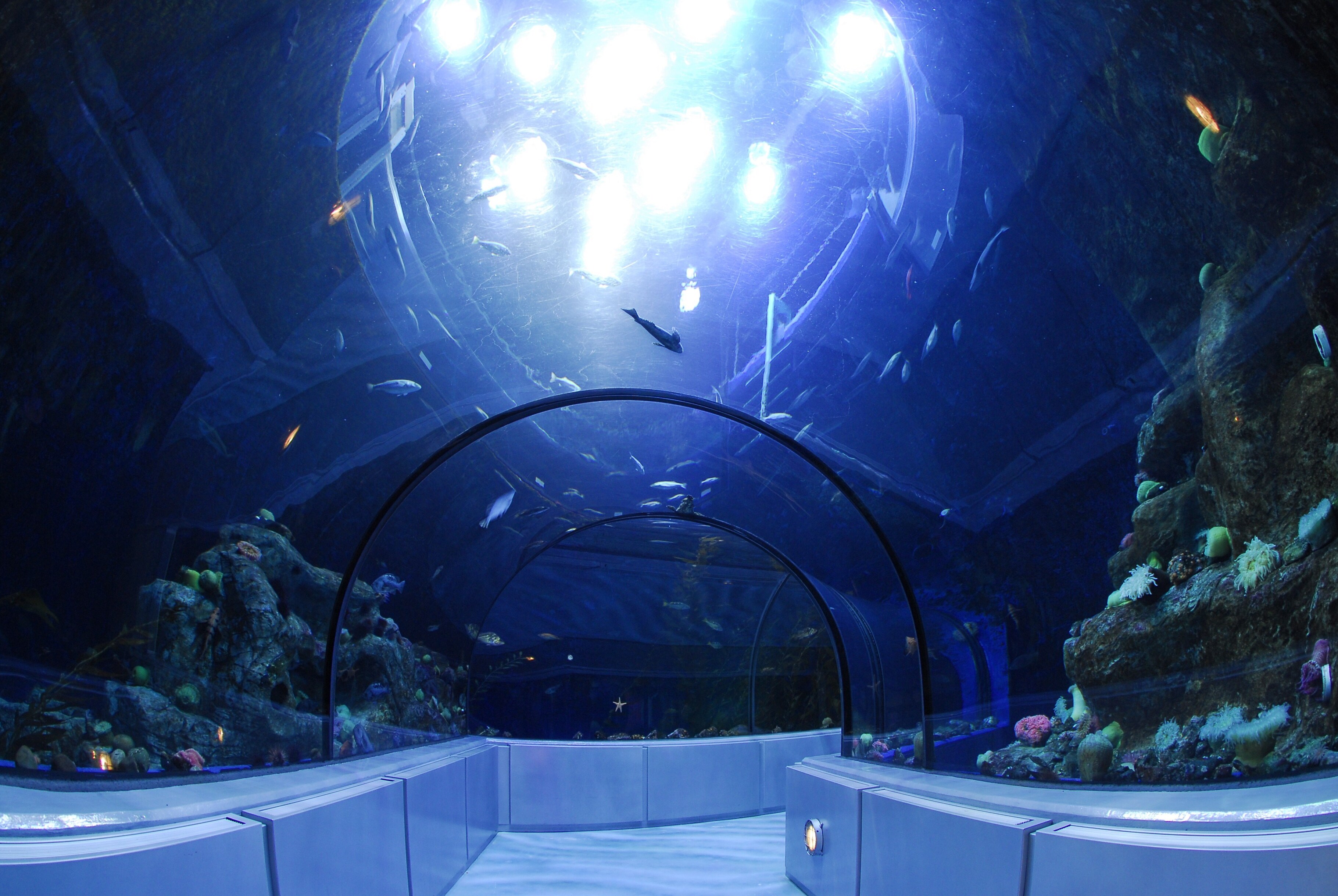 Parc Aquarium du Québec — Québec