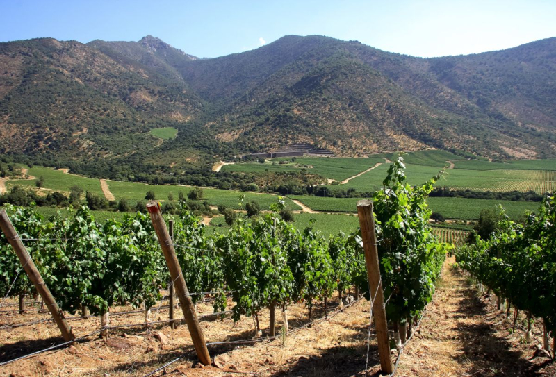 Saveurs de la vallée, Chili - Santiago | Secret World Trip Planner