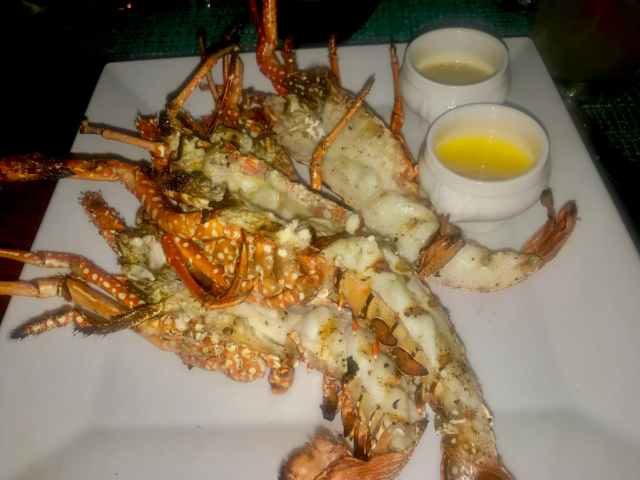 Anguilla Crayfish | Secret World Trip Planner