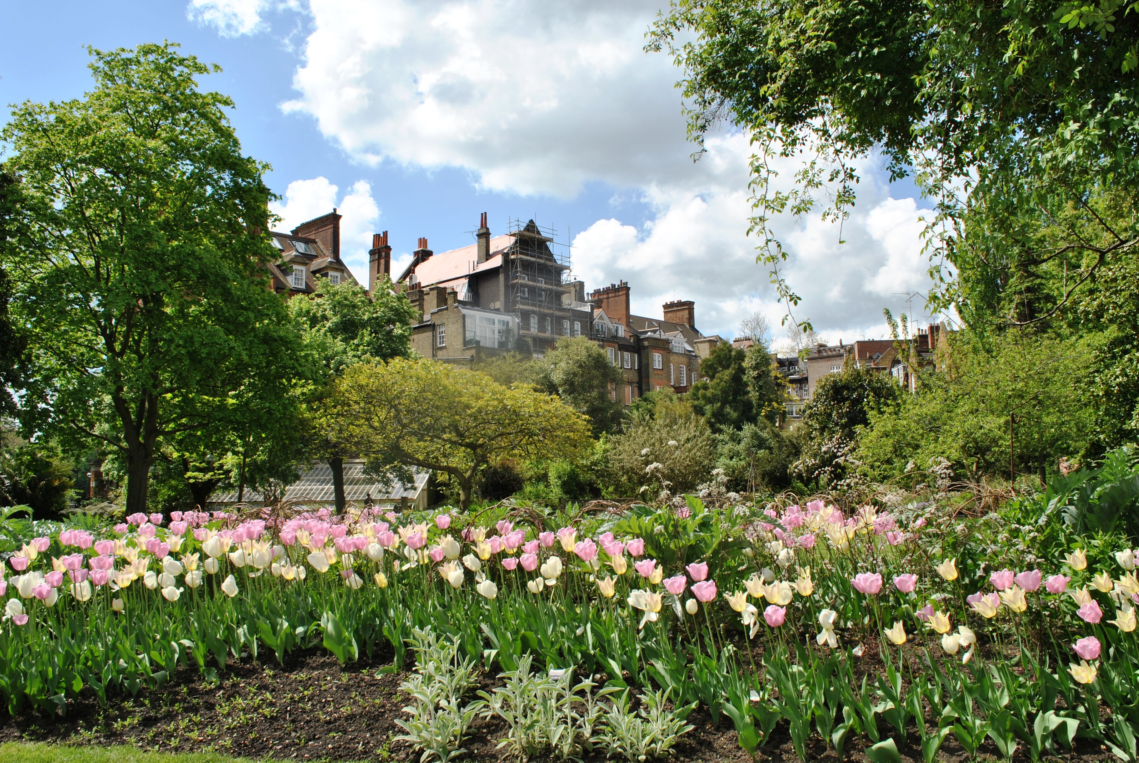 Лондон: Chelsea Physic Garden — Chelsea