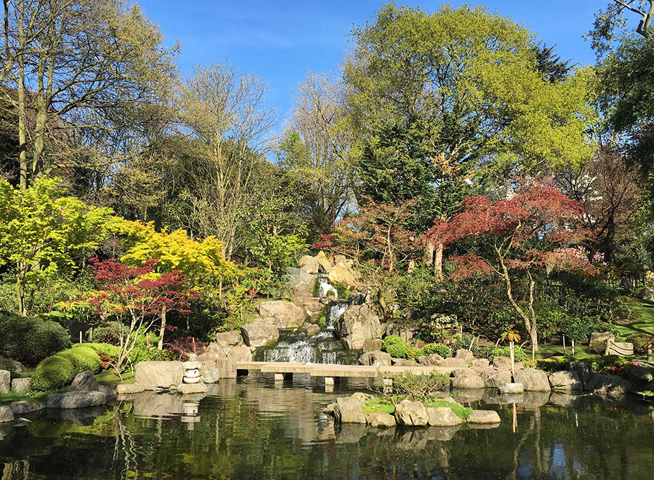 Holland Park, piękny 22-hektarowy park w Londynie — Kensington