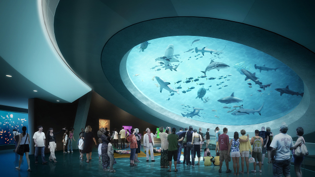 Musée des sciences Phillip et Patricia Frost - Miami | Secret World Trip Planner
