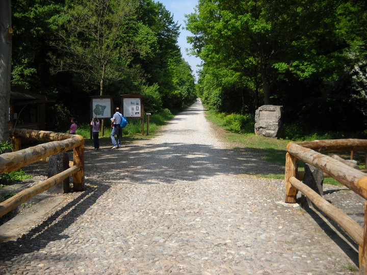 Mantua | Bosque de la Fuente - Marmirolo | Secret World Trip Planner