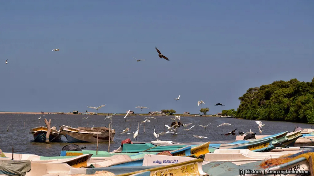 Lagon de Kokkilai - Kokkilai Lagoon | Secret World Trip Planner