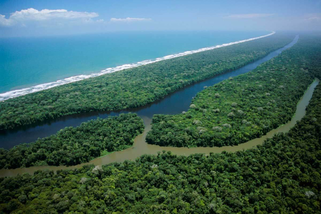 Tortuguero-Nationalpark - Provincia di Limón | Secret World Trip Planner