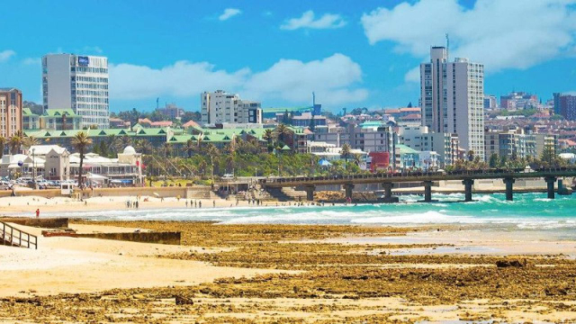 PORTO ELIZABETH - Gqeberha | Secret World Trip Planner