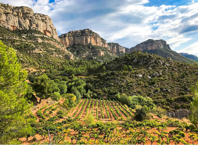 佩雷拉特的葡萄酒 - Priorat | Secret World Trip Planner