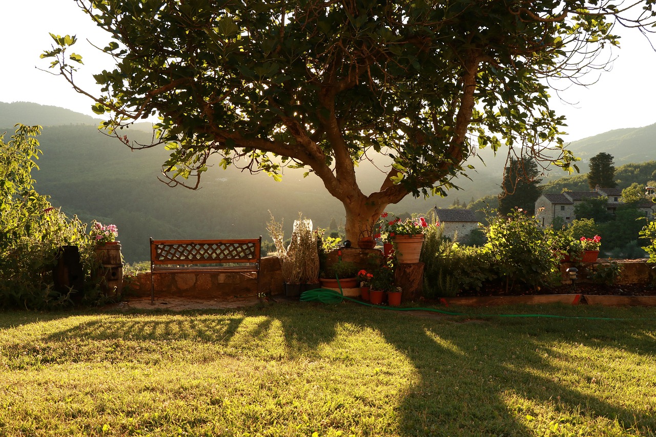 Greve in Chianti e l'ottimo vino - Greve in Chianti | Secret World Trip Planner
