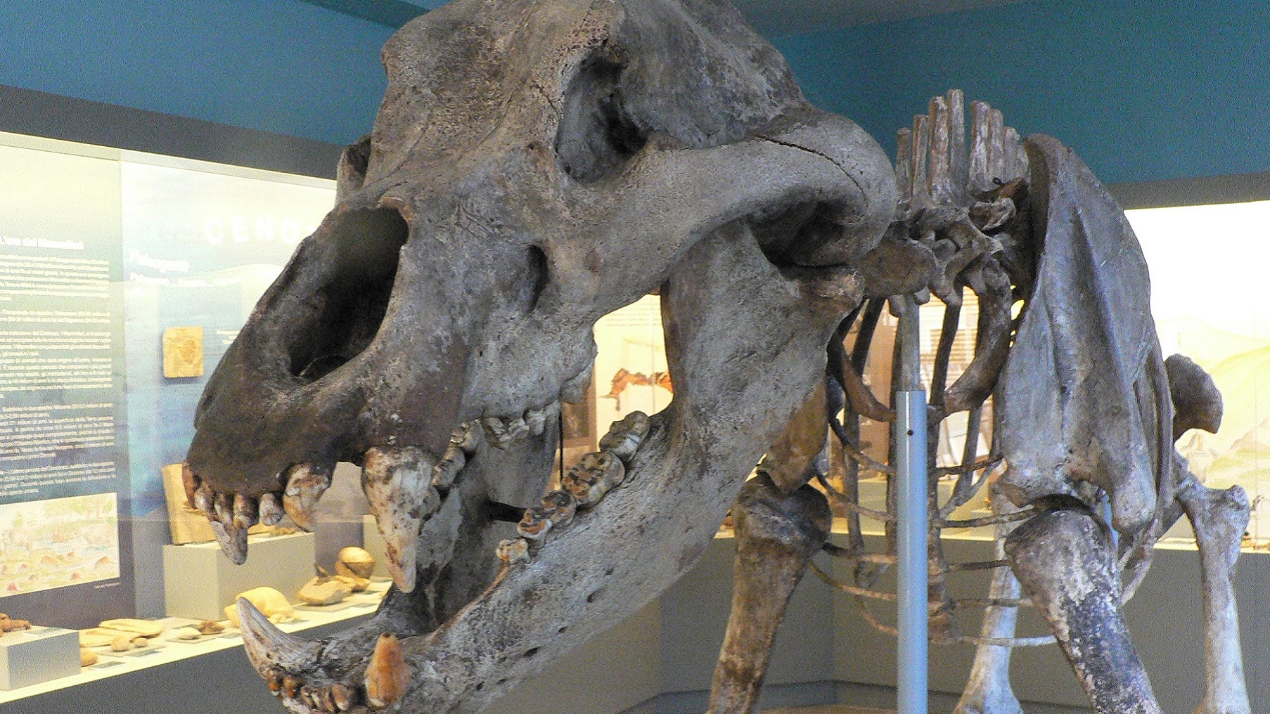 Muzeum Archeologiczne doliny piasku - Gavardo | Secret World Trip Planner