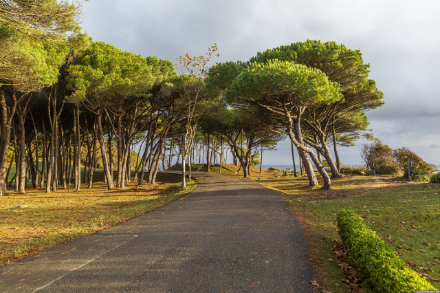 Park La Magdalena - Santander | Secret World Trip Planner