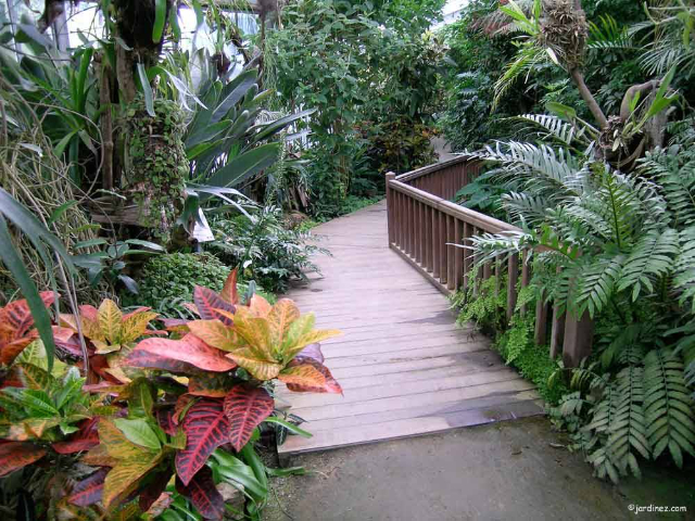 Parc Emmanuel Liais - Cherbourg-en-Cotentin | Secret World Trip Planner