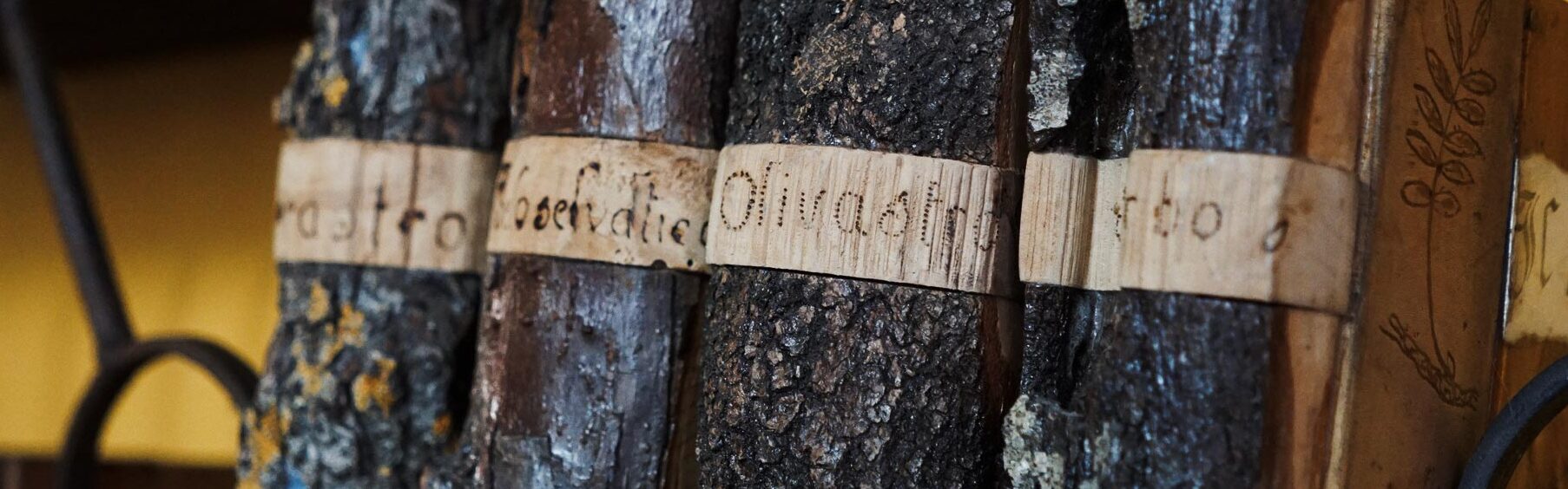 L'arborario nella vigna degli artisti - Montalcino | Secret World Trip Planner