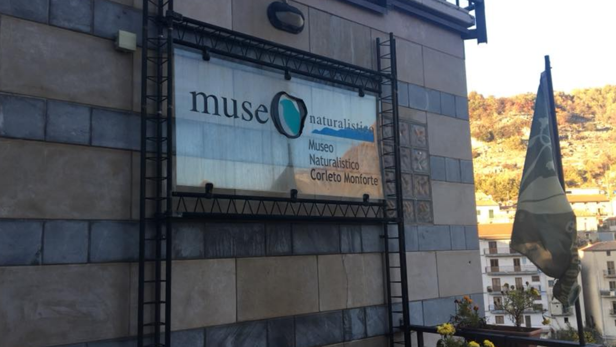 Il Museo Naturalistico degli Alburni - Corleto Monforte | Secret World Trip Planner