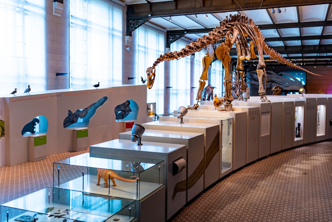 Il Museo Naturalistico degli Alburni - Corleto Monforte | Secret World Trip Planner