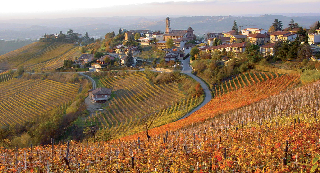 Top Wines od The World: Barbaresco — Barbaresco