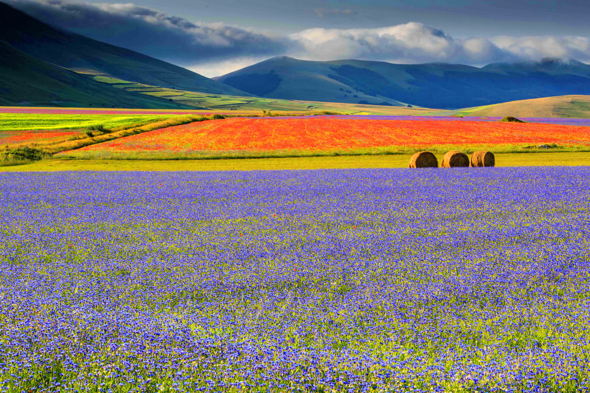 O florescimento de Castelluccio - Castelluccio | Secret World Trip Planner