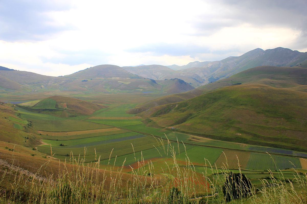 O florescimento de Castelluccio - Castelluccio | Secret World Trip Planner