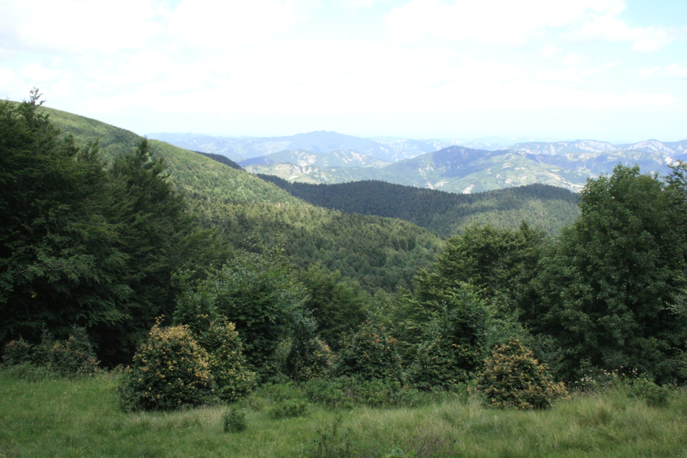 Parco Nazionale delle Foreste Casentinesi, Monte Falterona e Campigna - Arezzo | Secret World Trip Planner