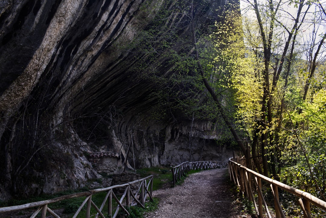 Riserva Naturale di Sasso Fratino - 47021 Bagno di Romagna FC | Secret World Trip Planner