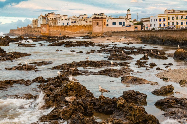 エッサウィラのプール - Provincia di Essaouira | Secret World Trip Planner
