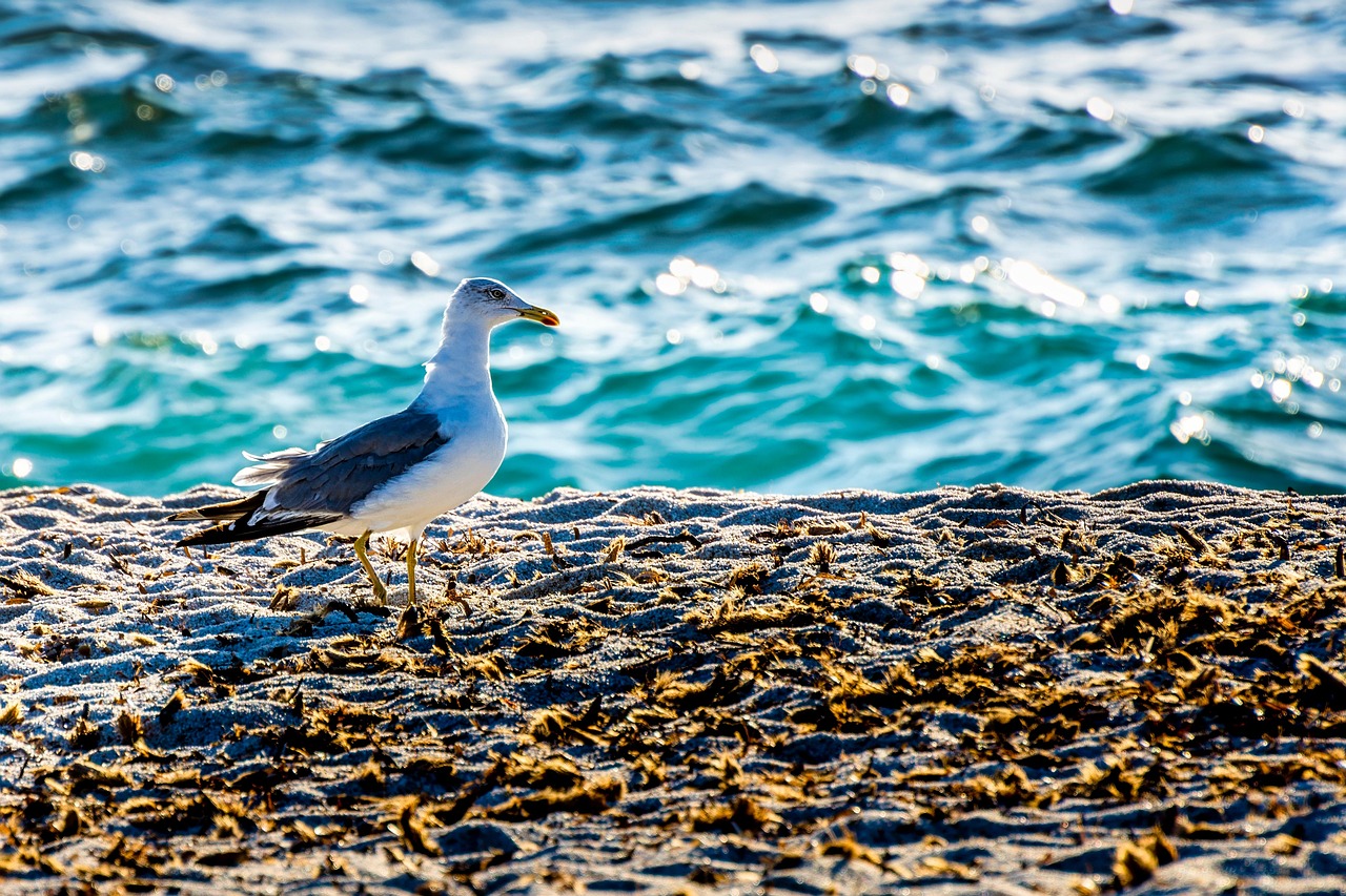 Sardegna Nascosta | Is Arutas ( Cabras ) - Is Arutas | Secret World Trip Planner
