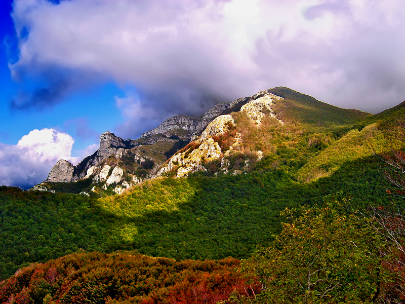 De berg Terminius en de oude kastanjebossen - Serino | Secret World Trip Planner