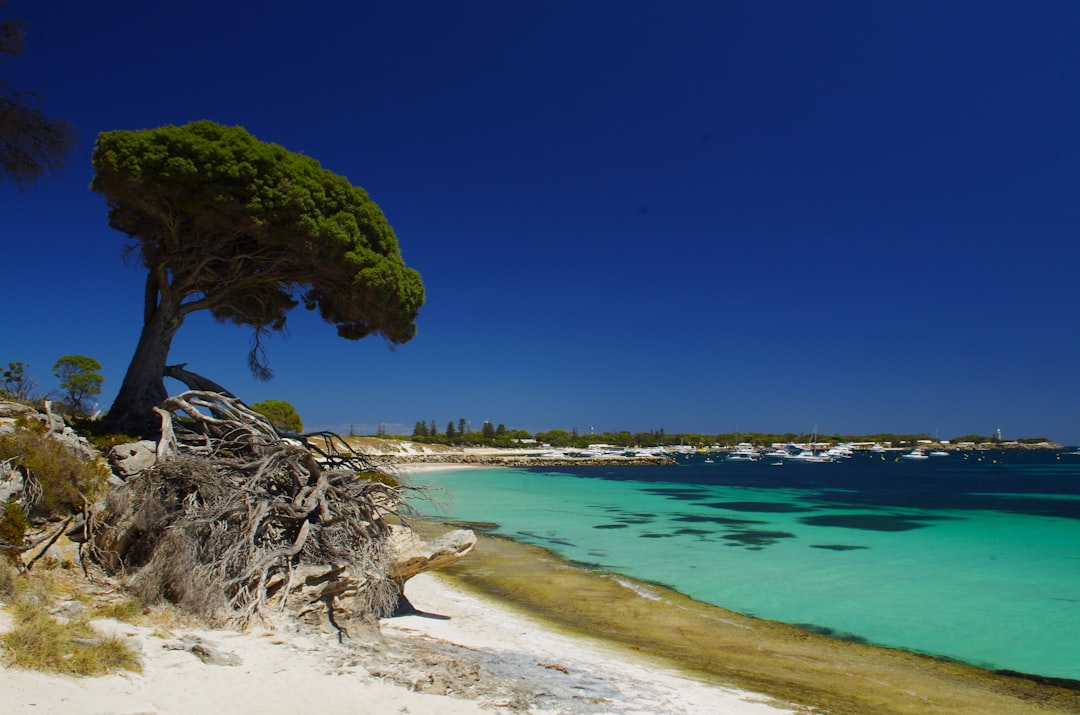 Rottnest Island, ein kleines Stückchen mediterraner Himmel - Rottnest Island | Secret World Trip Planner
