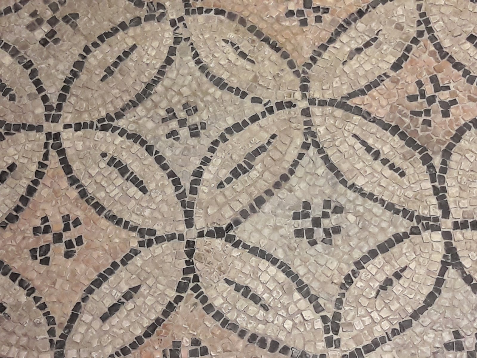 Domus des tapis de pierre - Ravenna | Secret World Trip Planner