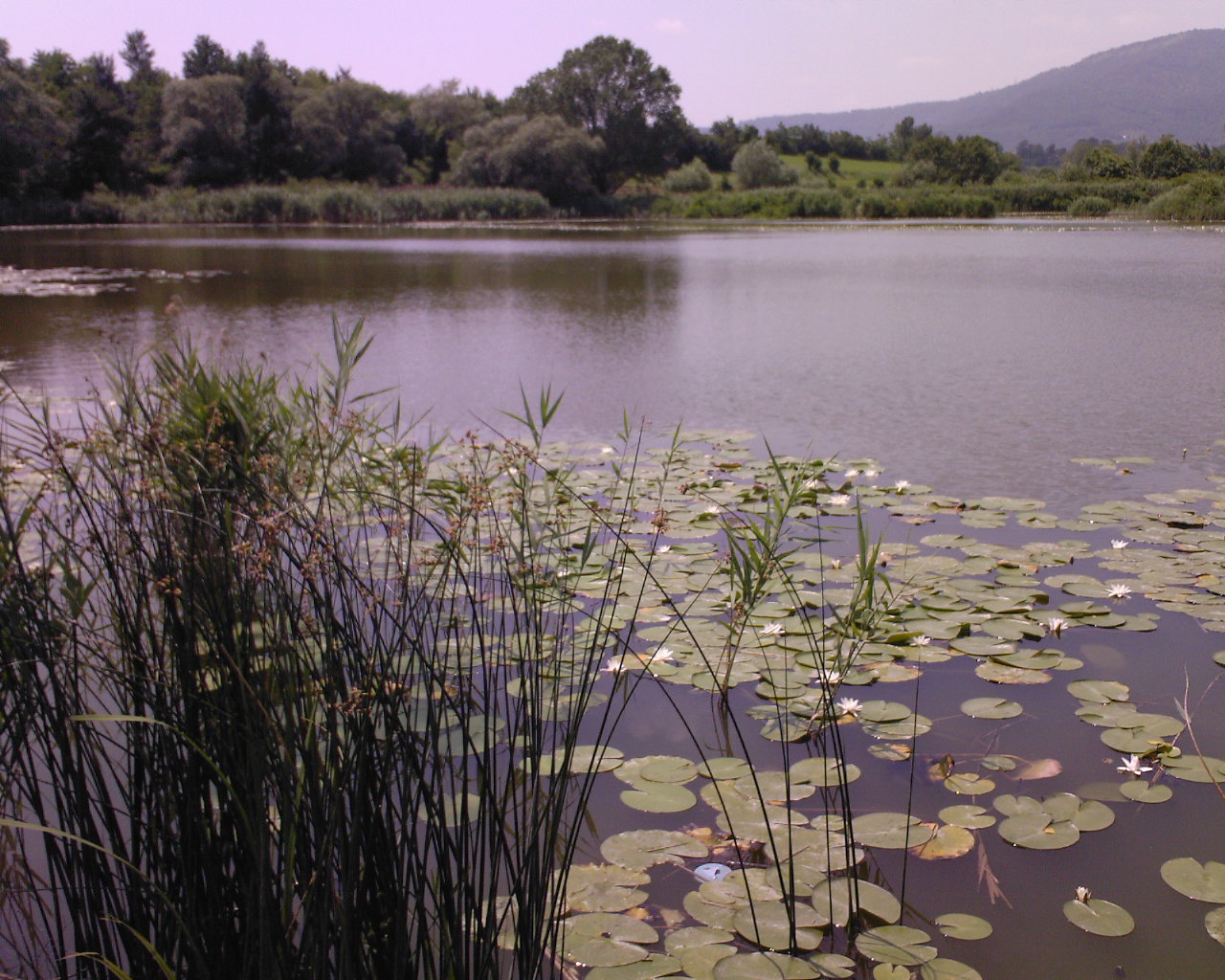 Sebino venen - Iseo | Secret World Trip Planner