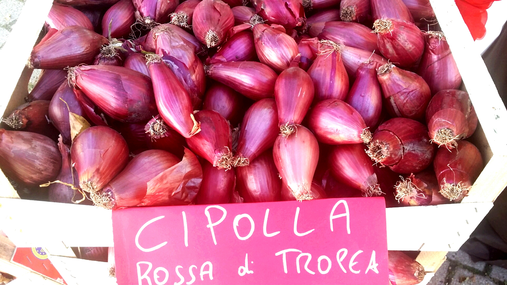 Czerwona cebula z Tropei - Tropea | Secret World Trip Planner