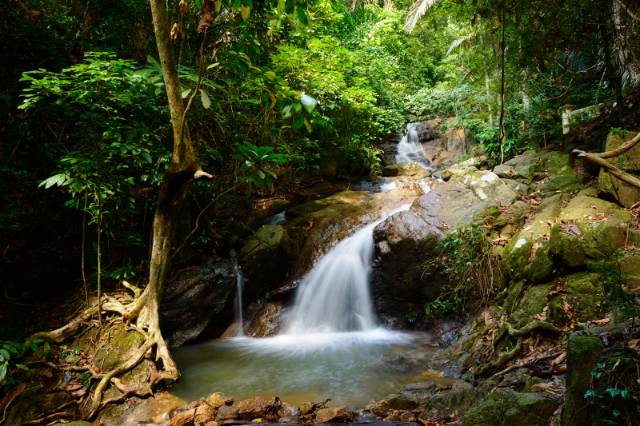 Cascadas de Kathu — Kathu