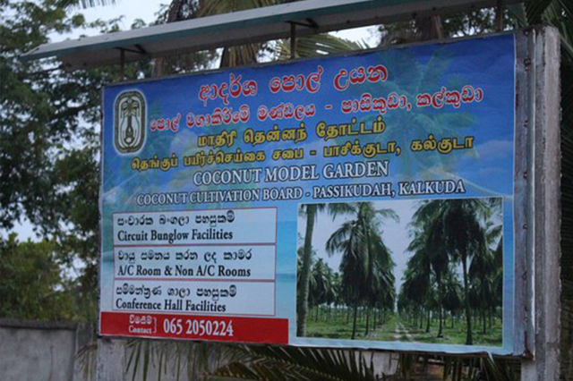 Парк культуры кокосовых орехов — Kalkudah