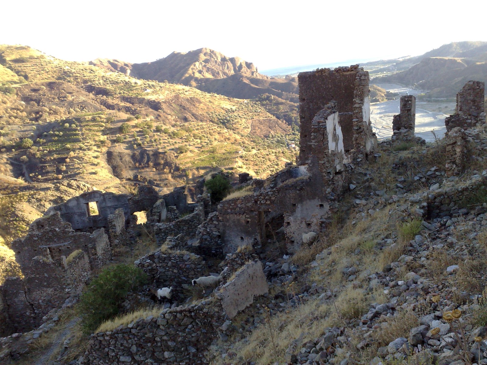 Amendolea: Il Castello Ruffo - Amendolea | Secret World Trip Planner