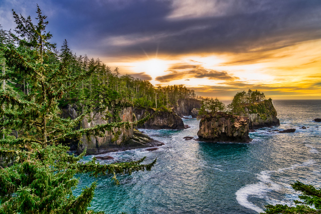 케이프 아첨 - Cape Flattery Trail | Secret World Trip Planner