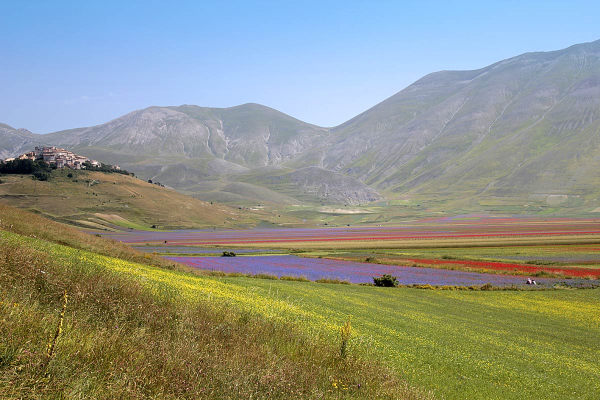 El florecimiento de Castelluccio - Castelluccio | Secret World Trip Planner