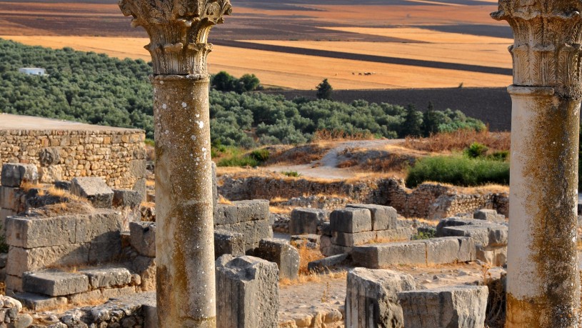 Sitio arqueológico de Volubilis - Meknes | Secret World Trip Planner
