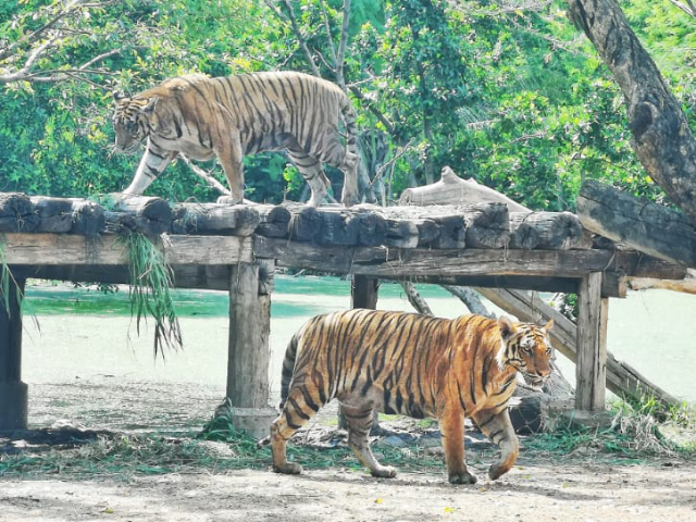 Safari World Bangkok - Khet Khlong Sam Wa | Secret World Trip Planner