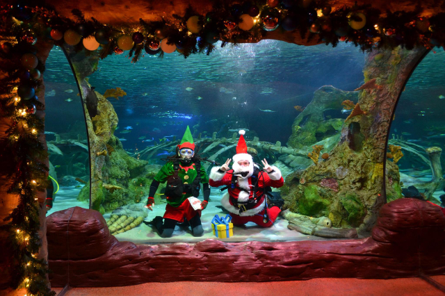 SEA LIFE Orlando Aquarium(シーライフ・オーランド水族館 - Orlando | Secret World Trip Planner