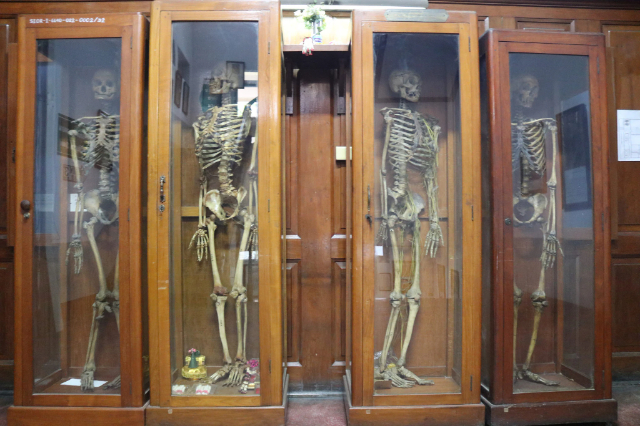Museu Médico de Siriraj Banguecoque, Tailândia - Bangkok | Secret World Trip Planner