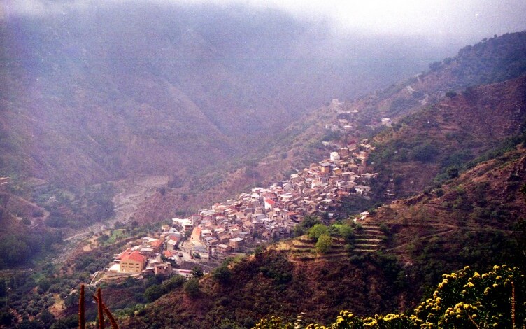 Cardeto na margem direita do Riacho Sant'Agata - Cardeto | Secret World Trip Planner