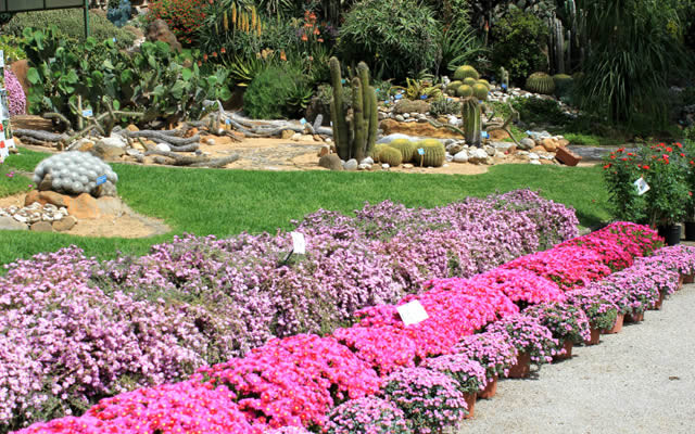 Botanical Garden of Naples - Napoli | Secret World Trip Planner