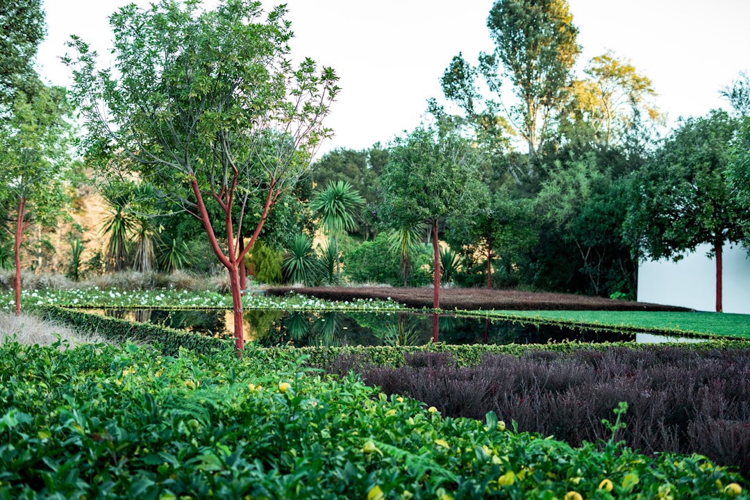 Il Terzo giardino di Gilles Clement - Firenze | Secret World Trip Planner