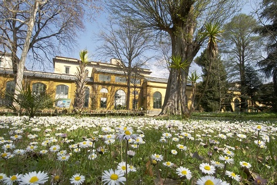 Florence: The Giardino dei Semplici - Firenze | Secret World Trip Planner