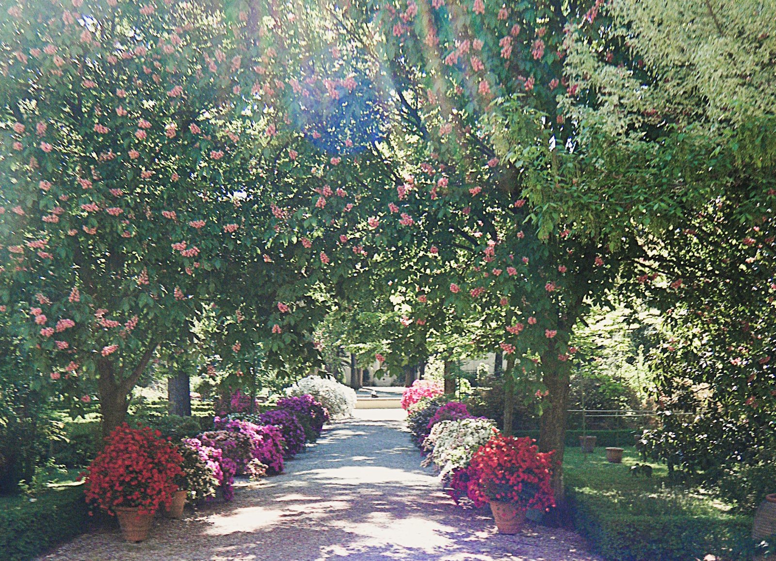 Florence: The Giardino dei Semplici - Firenze | Secret World Trip Planner