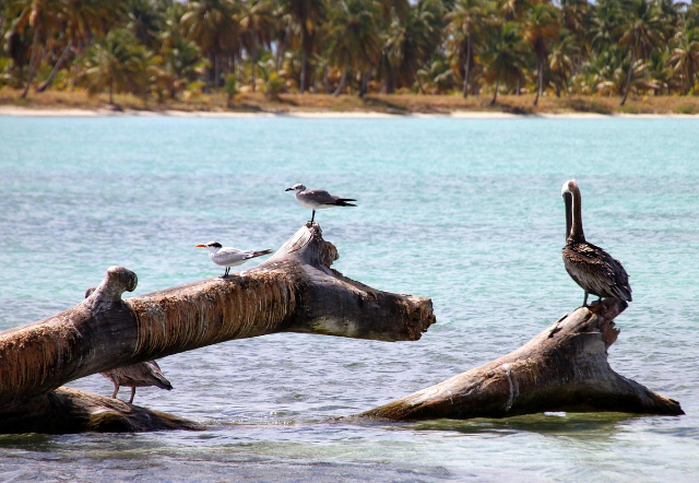 Ost-Nationalpark - Higüey | Secret World Trip Planner