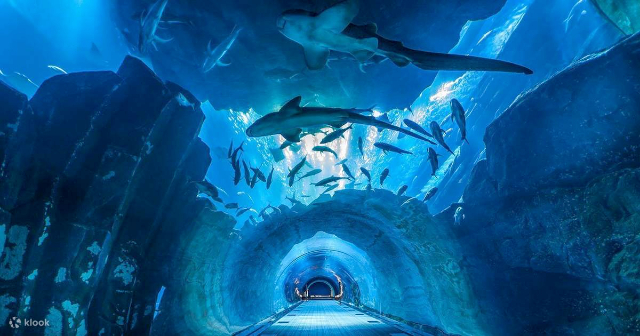 Meeresleben Bangkok Ocean World - Khet Pathum Wan | Secret World Trip Planner