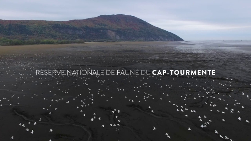 Cap Tourmente Área Nacional de Vida Selvagem - Saint-Joachim | Secret World Trip Planner