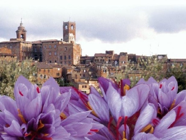 Safran in Città della Pieve - Città della Pieve | Secret World Trip Planner