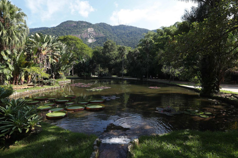Ботанический сад, Рио-де-Жанейро - Jardim Botânico | Secret World Trip Planner