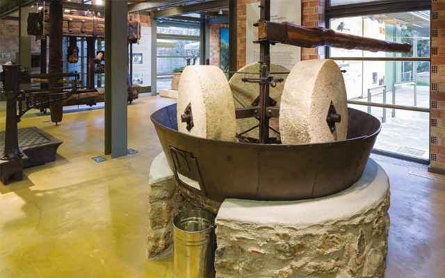 Unveiling the Liquid Gold: A Journey Through Sparti's Museum of Olive and Greek - Sparti | Secret World Trip Planner